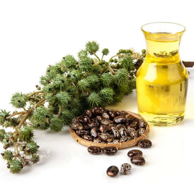 معرفی و بررسی خواص روغن کرچک