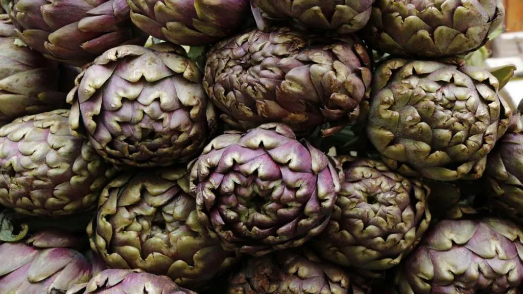 قیمت و خرید روغن آرتیشو اصل ( کنگر فرنگی)