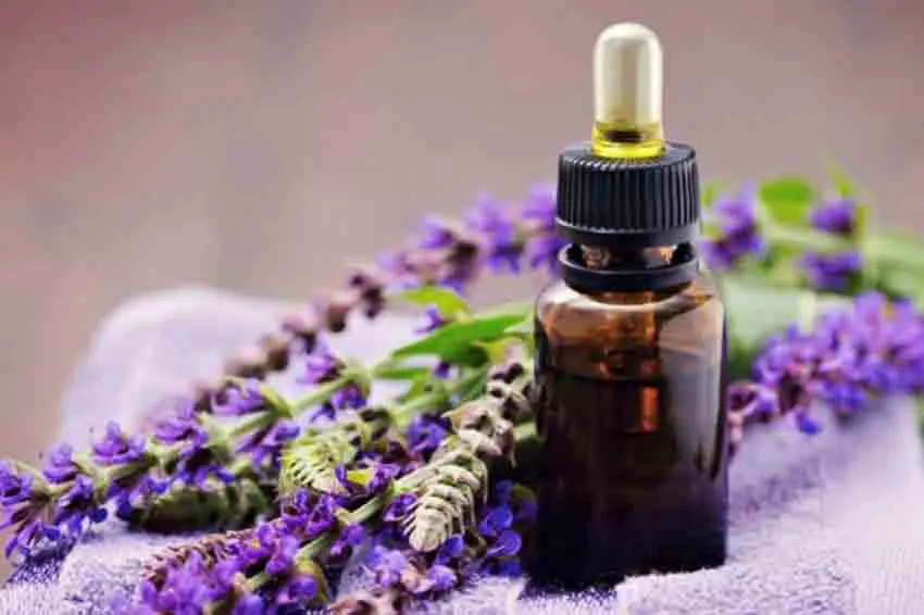قیمت و خرید روغن مریم گلی اصل