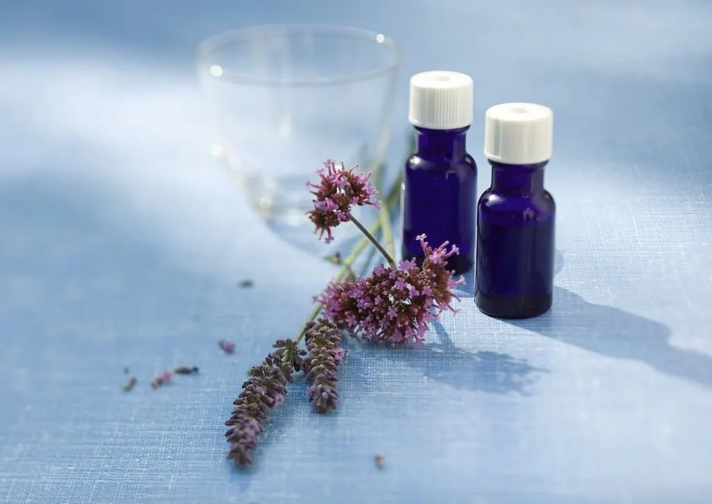 طریقه آگاهی از قیمت و خرید روغن مریم گلی اصل از دکتر اویل