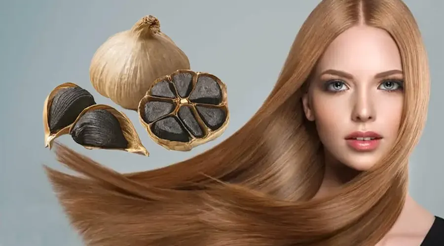 بهترین کیفیت و مناسب ترین قیمت روغن سیر سیاه اصل را از دکتر اویل بخواهید