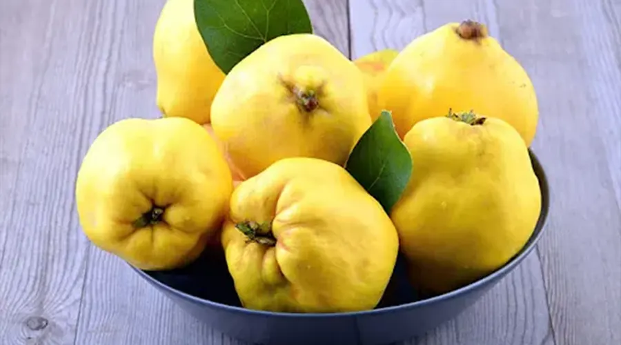 تاثیر روغن میوه به بر سلامتی