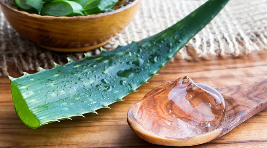 خواص روغن آلوئه اصل برای پوست و مو