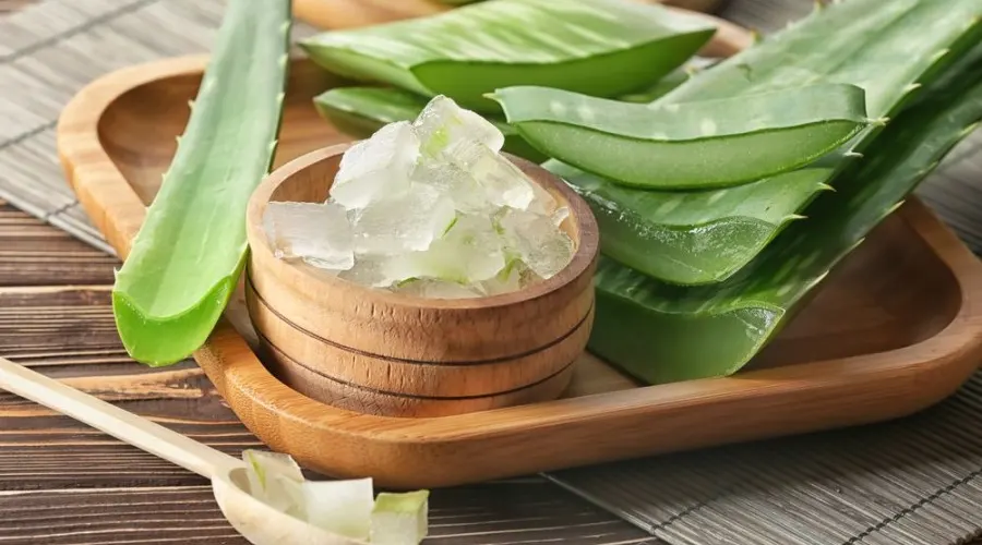 بهترین قیمت روغن آلوورا اصل در فروشگاه دکتر اویل