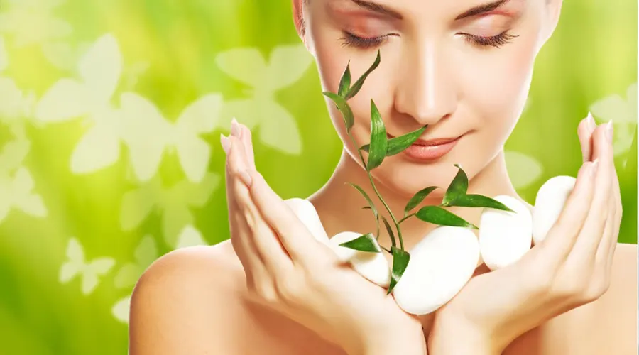 خواص و ترکیبات روغن درخت چای وارداتی اصل از محصولات دکتر اویل