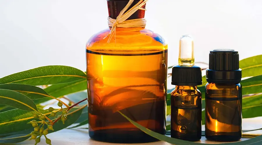 روغن درخت چای از بین برنده جای جوش و آکنه