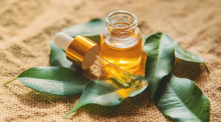 روش مصرف روغن چای وارداتی اصل از محصولات دکتر اویل