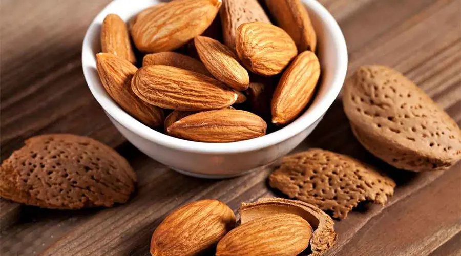 بهترین کیفیت روغن بادام تلخ وارداتی را از دکتر اویل بخواهید