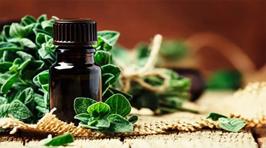 موارد مصرف روغن مرزنجوش اصل از محصولات دکتر اویل