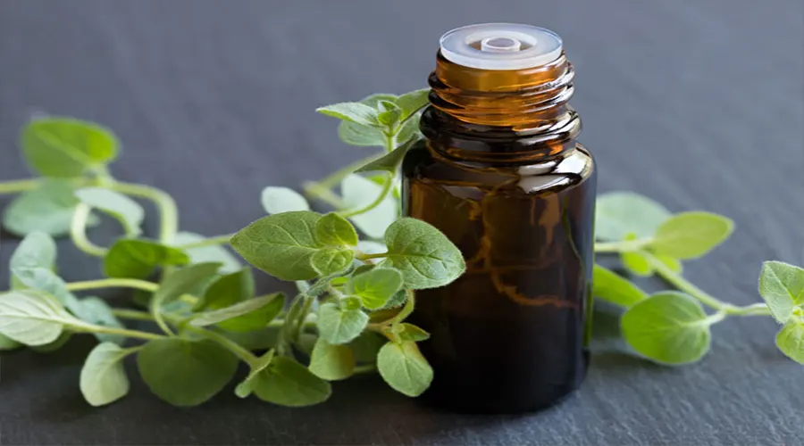 قیمت روغن مرزنجوش اصل در فروشگاه دکتر اویل