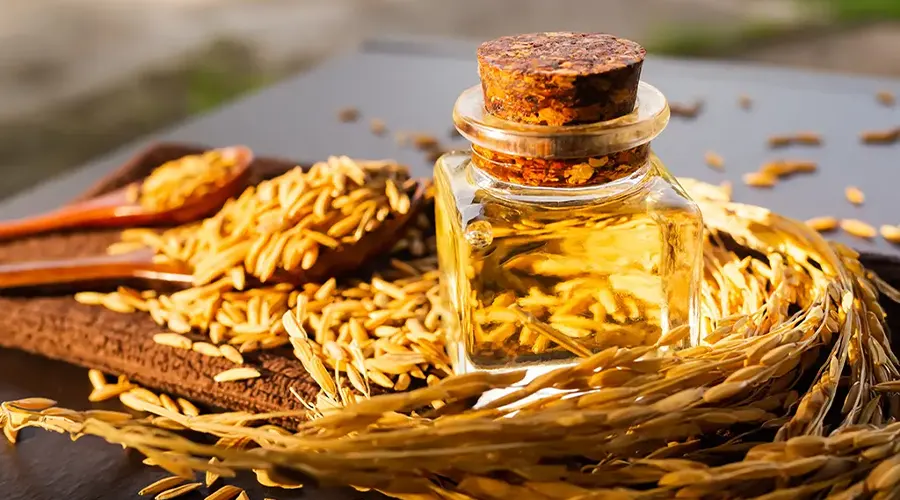 خرید روغن سبوس برنج اصل از فروشگاه دکتر اویل
