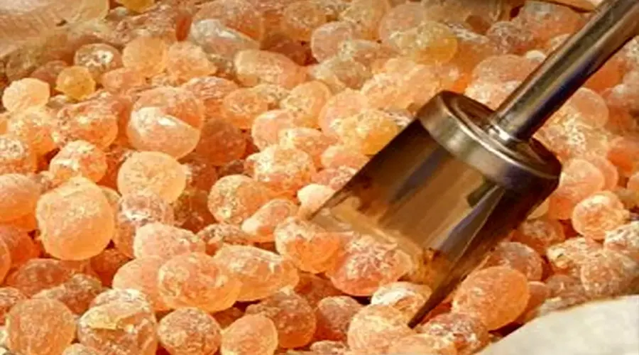 بهترین روش خرید روغن مصطکی اصل از فروشگاه دکتر اویل