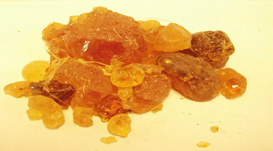 بهترین مارک روغن مومیایی اصل از محصولات دکتر اویل