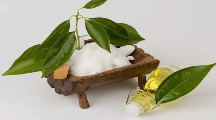 خرید روغن کافور اصل از فروشگاه دکتر اویل