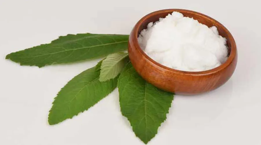 خرید روغن کافور اصل با کیفیت درجه یک از فروشگاه دکتر اویل