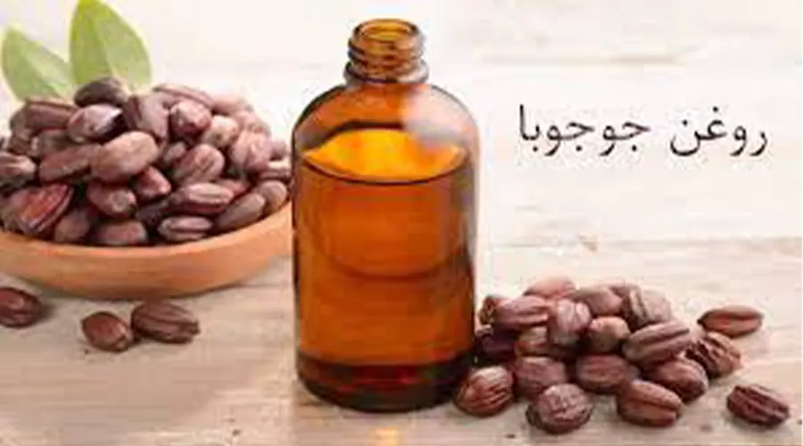 مزایای استفاده از روغن جوجوبا اصل از محصولات دکتر اویل