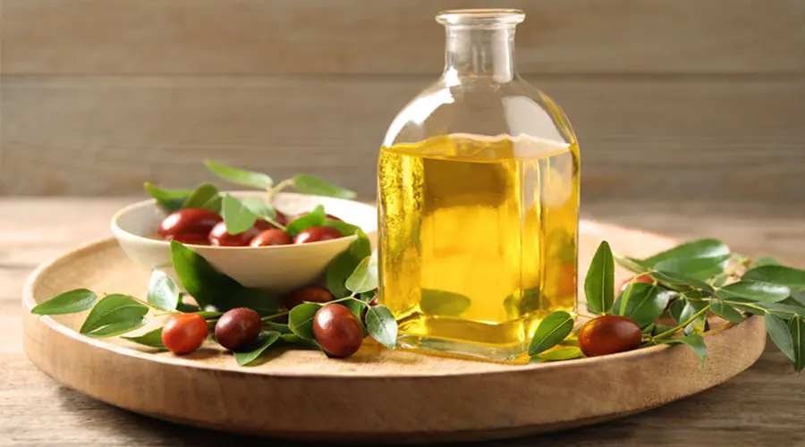 خواص روغن جوجوبا وارداتی از محصولات دکتر اویل