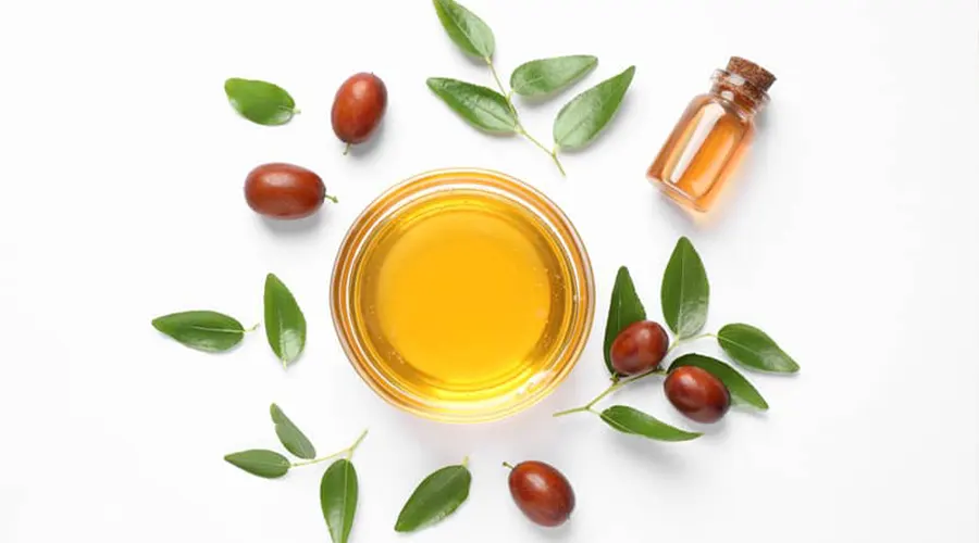 بهترین قیمت روغن جوجوبا اصل وارداتی را در فروشگاه دکتر اویل مشاهده می کنید.