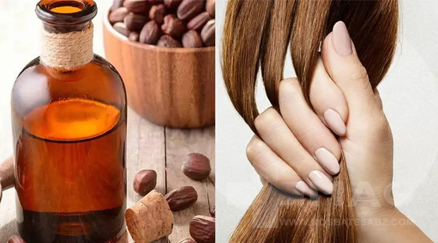 بهترین مارک روغن جوجوبا وارداتی اصل از محصولات دکتر اویل است