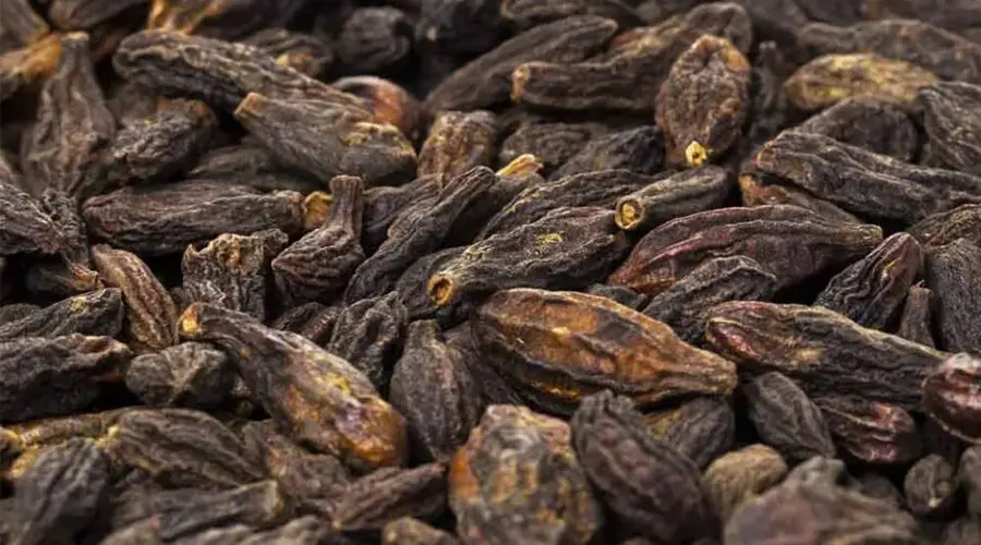 بهترین قیمت خرید روغن هلیله سیاه اصل را در فروشگاه دکتر اویل تجربه کنید.