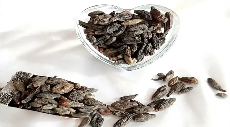خواص و ترکیبات روغن هلیله سیاه اصل از محصولات دکتر اویل