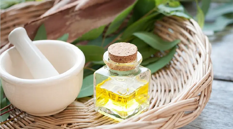 با خرید روغن اکالیپتوس از فروشگاه اینترنتی دکتر اویل مطمئن باشید بهترین مارک روغن اکالیپتوس را در اختیار دارید