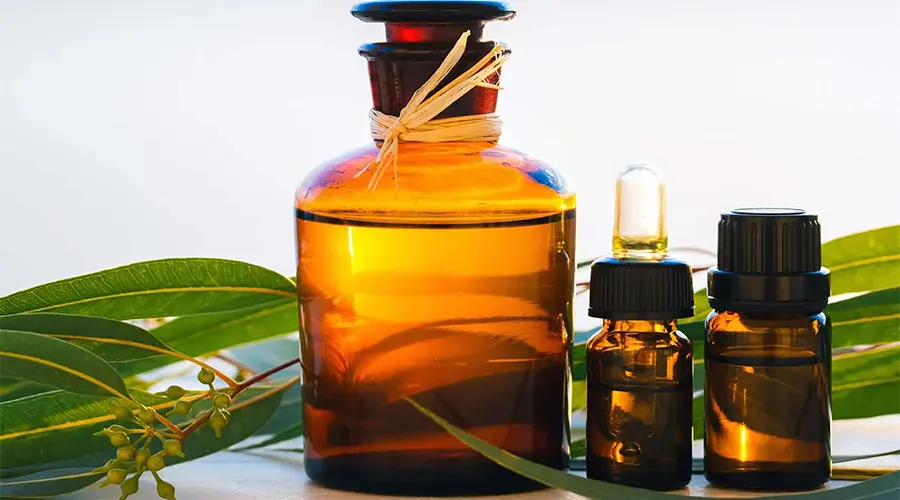 استعلام قیمت و خرید روغن قسط تلخ از فروشگاه اینترنتی دکتر اویل