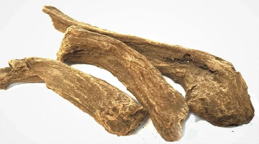 بهترین تجربه خرید روغن قسط تلخ از فروشگاه دکتر اویل
