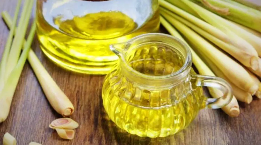 خرید روغن علف لیمو اصل و ارگانیک از فروشگاه اینترنتی دکتر اویل