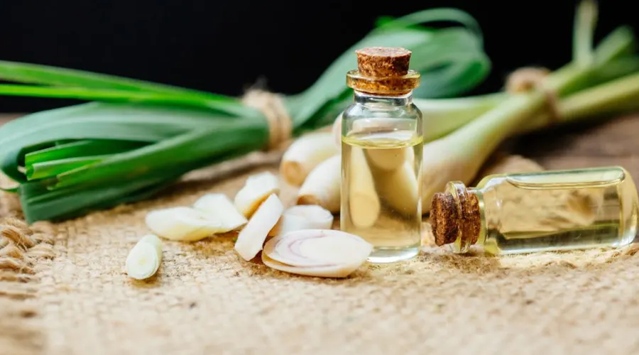 بهترین روش خرید روغن علف لیمو اصل از فروشگاه دکتر اویل