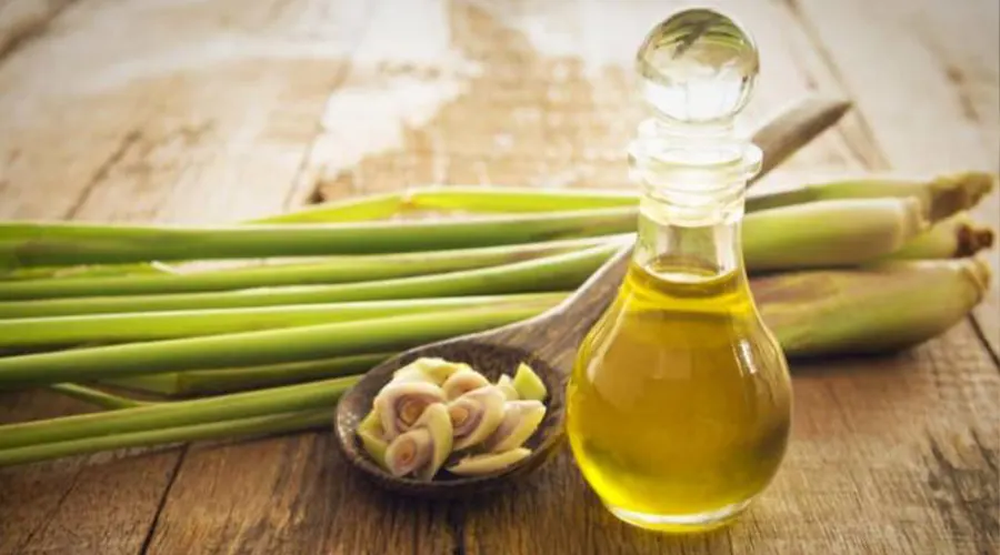 بهترین قیمت خرید روغن علف لیمو اصل از محصولات دکتر اویل