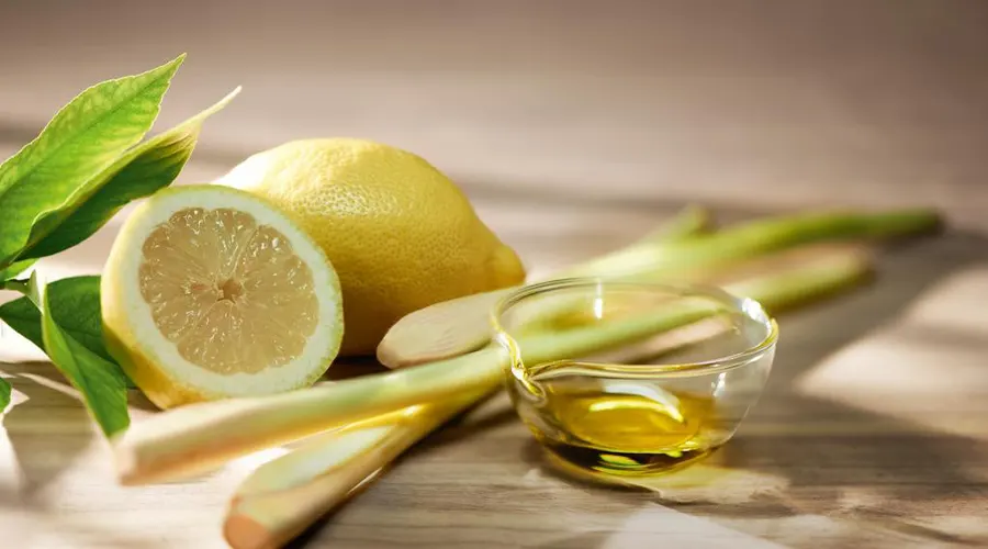 خواص و ترکیبات روغن علف لیمو اصل از محصولات دکتر اویل