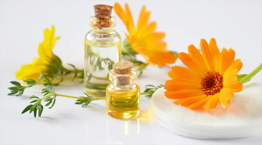 بهترین روش خرید روغن کالاندولا ( همیشه بهار ) اصل از فروشگاه اینترنتی دکتر اویل