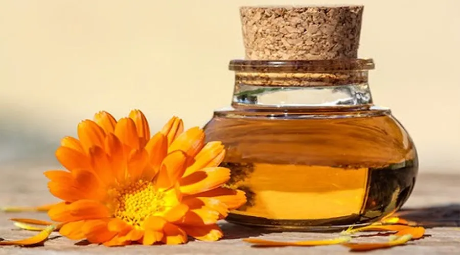 بهترین قیمت خرید روغن کالاندولا ( همیشه بهار ) اصل را در فروشگاه اینترنتی دکتر اویل تجربه می کنید.