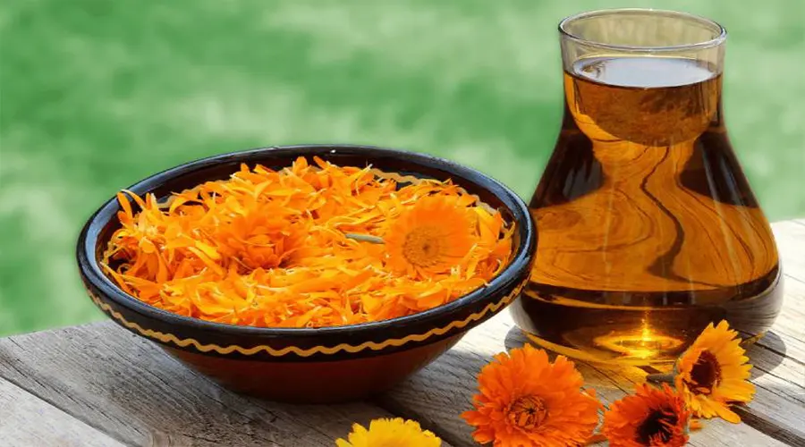 خواص و ترکیبات روغن کالاندولا ( همیشه بهار ) اصل محصولی از دکتر اویل