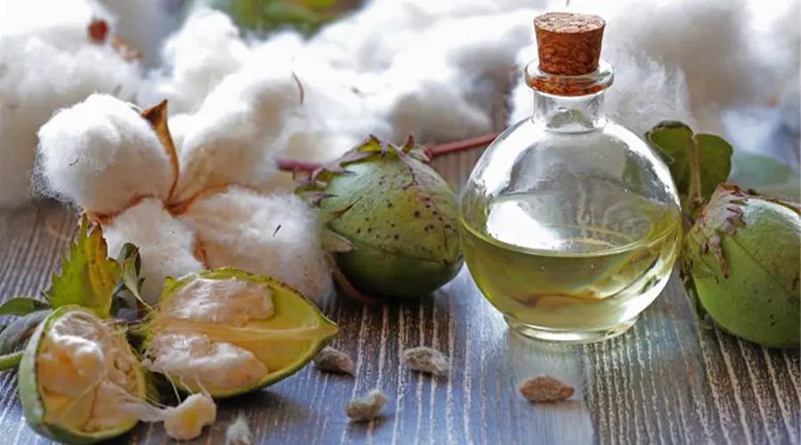خرید روغن پنبه دانه اصل فرابکر و ارگانیک از فروشگاه دکتر اویل