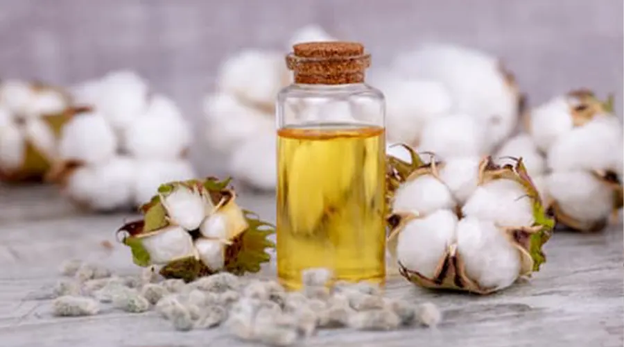 روش مصرف روغن پنبه دانه اصل از محصولات دکتر اویل