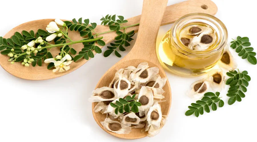 خرید روغن مورینگا وارداتی اصل از فروشگاه دکتر اویل