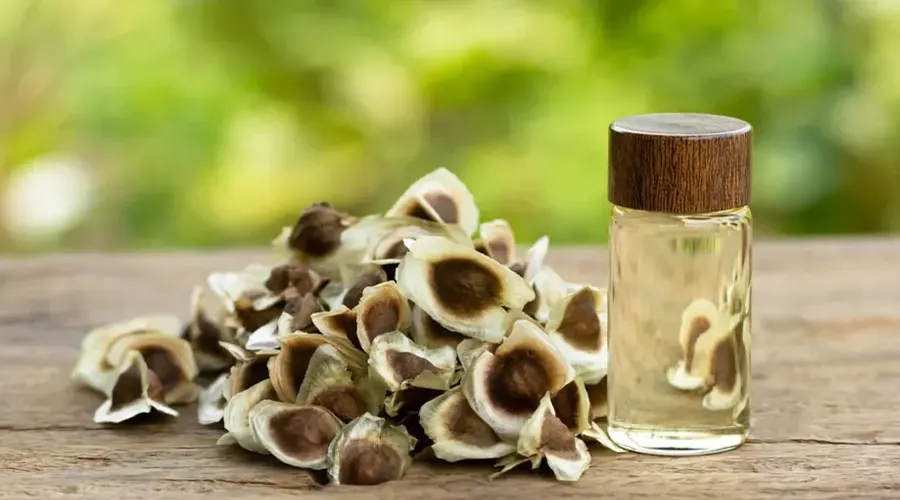 بهترین قیمت خرید روغن مورینگا وارداتی اصل از محصولات دکتر اویل