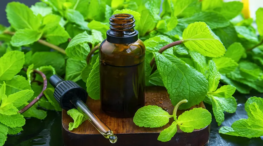 روغن نعناع فلفلی ضدالتهاب