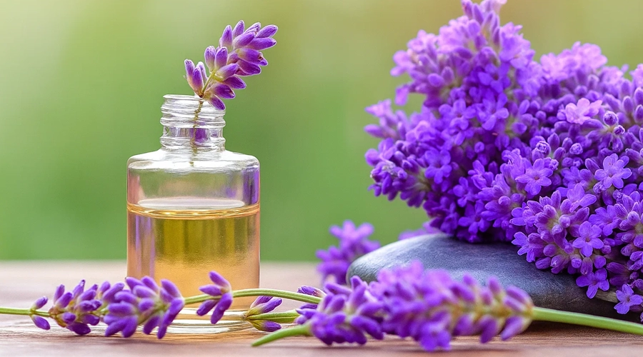 خرید روغن اسطوخدوس برای مراقبت از مو