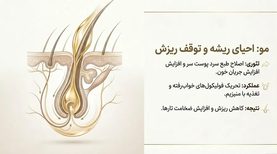 خواص روغن بادام تلخ ایرانی خالص برای ریزش مو
