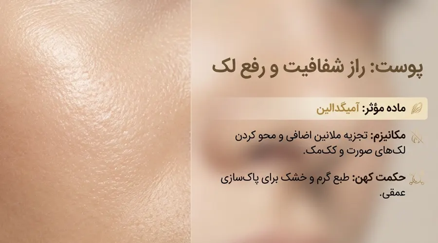 خواص روغن بادام تلخ ایرانی دکتر اویل برای پوست