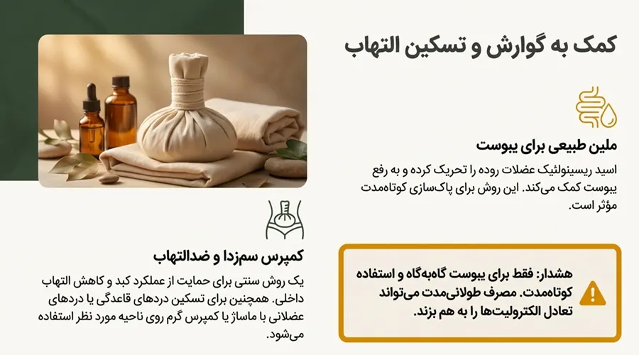فواید روغن کرچک برای گوارش و التهاب بدن