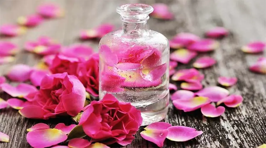 خواص روغن گلاب در ماساژ تراپی