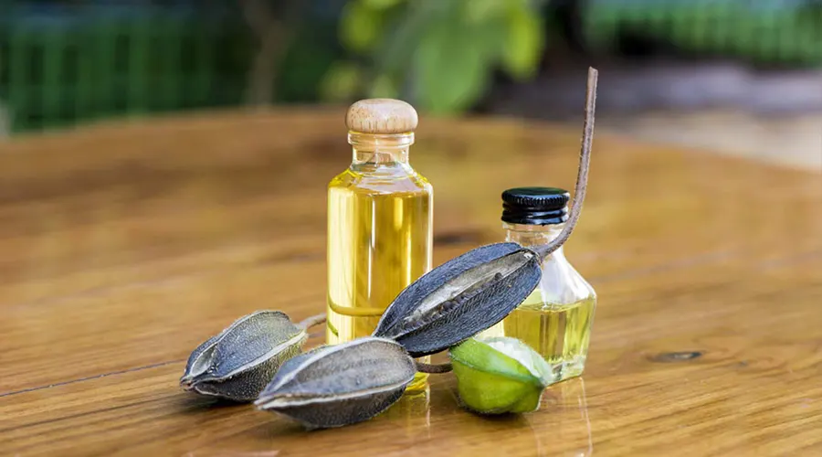 خواص روغن قسط تلخ در درمان دردهای مفصلی و استخوانی