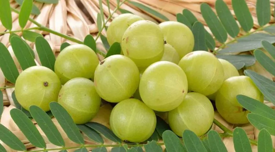 مقایسه خواص روغن املا و روغن نارگیل