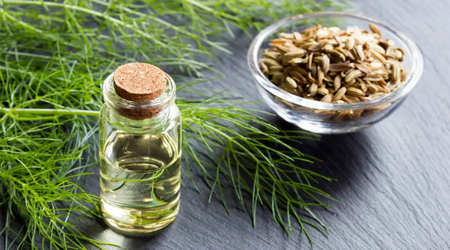 آشنایی با خواص روغن رازیانه برای سلامت جسم و روان