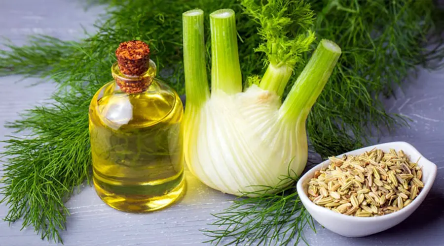 آشنایی با خواص روغن رازیانه برای کاهش دردهای قاعدگی