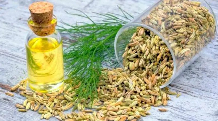 خواص روغن رازیانه برای درمان افسردگی و بهبود خواب